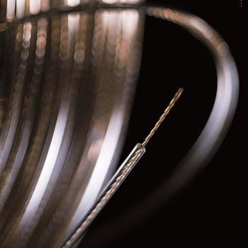 Cavetti